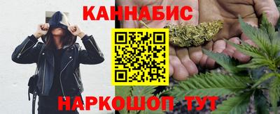МДПВ Новозыбков