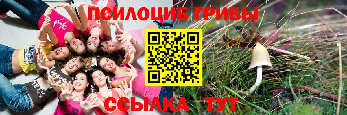 Псилоцибиновые грибы мухоморы Славгород