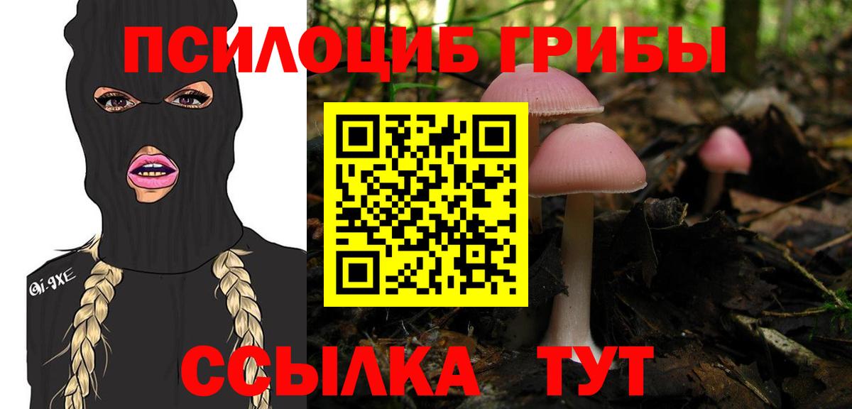 где можно купить наркотик  Псилоцибиновые грибы ЛСД  Славгород  Вход с VPN  Псилоцибиновые грибы мухоморы 